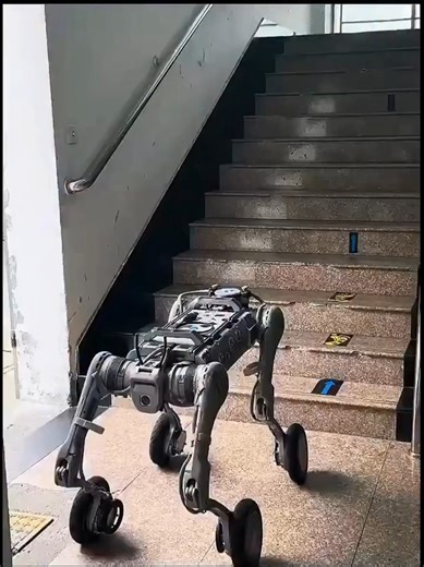 1.9K views · 28 reactions | Wheeled legs, limitless mobility. 烙 This...