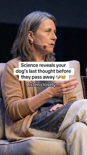 Science Reveals a Dog’s Last Thought Before They Pass