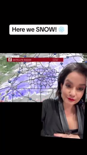 22K views · 151 reactions | Flakes started to fall, flakes started to stick! Bree Smith NC5 has even more updates on the winter wonders. | NewsChannel 5 Nashville | Facebook