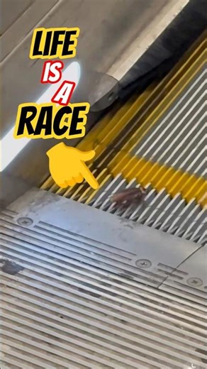 life is a race - Cockroach struggling #cockroach #shorts