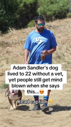 Natural Solutions for Your Dog's Health Issues