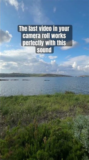 The last video in camera roll works perfectly with this sound.