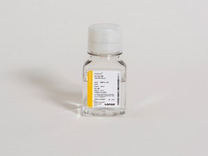 Sodium Pyruvate GMP | Lonza