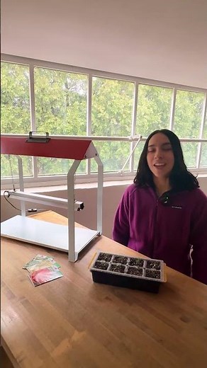 Seed Starting Do's and Don'ts | Burpee Seeds, Plants & Supplies
