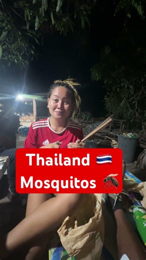 Natural Mosquito 🦟 Repellent #thailand #travelvlog #viralvideo