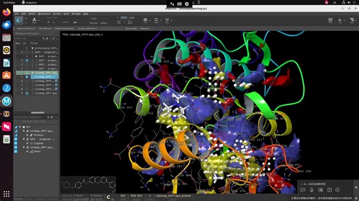 使用 SiteMap 和 WaterMap 进行靶点分析