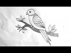 How to draw parrot drawing | Parrot Drawing Easy | Parrot Drawing Easy Step By Step
