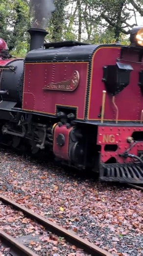 Rob's Rails on Instagram: "Drakensberg arrives at Aberffrwd Station amid autumn colours during the Vale of Rheidol Railway Steam Festival 🍁🚂 NG/G13 No. 60 Drakensberg was built in 1927 by German firm Hanomag for the South African Railways. After years in service, she was preserved in Switzerland before coming to the Vale of Rheidol Railway in Wales — undergoing overhaul and entering passenger service in 2022, now a striking part of the line’s steam roster. #Steam #Railway #Trains #Trainspottin