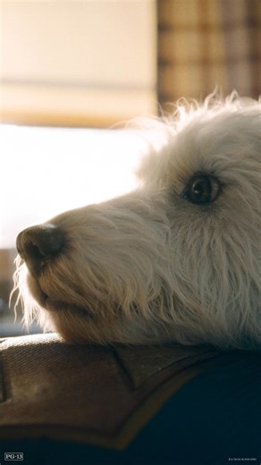 Fetch the movie of the summer. Buy or rent Superman now on the Apple TV app! | Superman