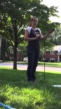 Estimating tree canopy %