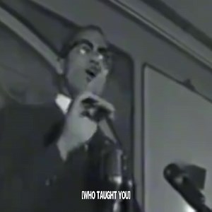 #leftist #political #malcolmx #socialist #left | malcolmx