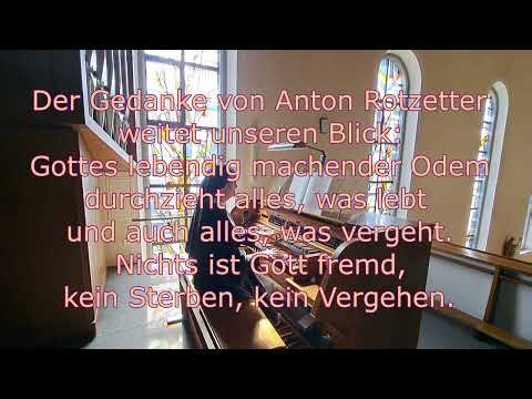 Impuls zum 5. Sonntag der Fastenzeit (Joh 11)„Ich bin die Auferstehung und das Leben.“