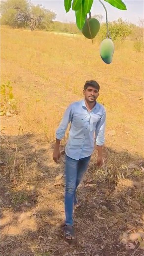 mango cut tiktok viral video titorial 🥭😳#mango #totorial #tiktokvideo #