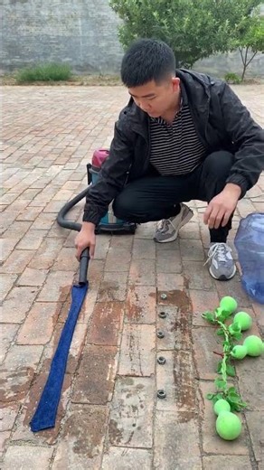 Tengba High-Power Commercial Vacuum Cleaner 5 Functions: Wet & Dry, Shaking & Blowing, Speed Adjust