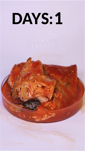 Time Treats | What happens when you leave Fish in tomato sauce to Rot 🪰😂#decay #Timelapse #satisfying | Instagram