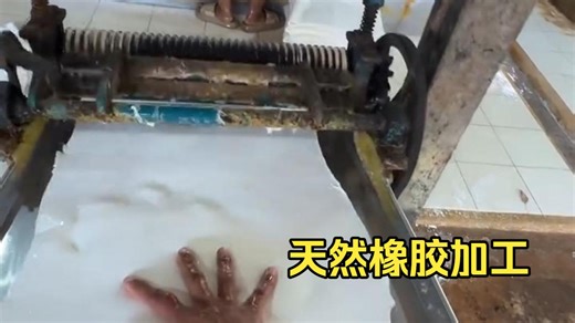 短科普之你见过天然橡胶的加工过程吗？