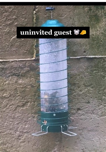 self check-in | self