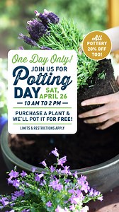 Join us for Potting Day, Saturday, April 26th from 10am–2pm, only at your local Wilco! 🌹 Purchase a plant and we will pot it for you for FREE. Bring your own pot or buy a new one. Plus, take 20% off all regularly priced pottery. Offer good with plants purchased on 4/26/2025 only. Free potting and potting soil limited to 8 containers, with a maximum of 16" diameter and 3-gallon capacity each. Click through for full details. | Wilco