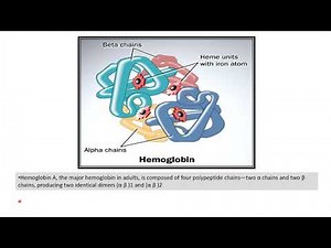 Hemoglobin structure