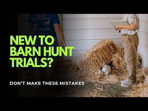 Watch THIS before your FIRST Barn Hunt Trial