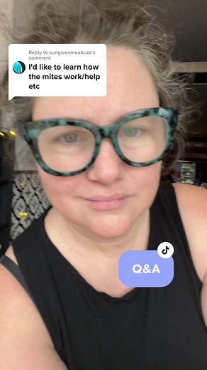 Understanding Cheese Mites: Facts and Myths Debunked