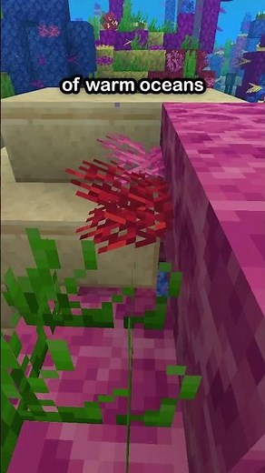 How To Find Suspicious Sand AND Gravel In Minecraft