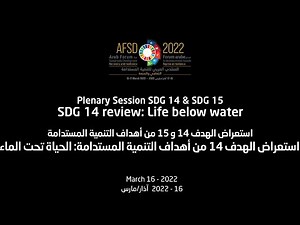 AFSD2022 plenary on SDG14: Life Below Water