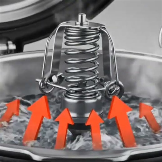 🥘Pressure Cooker Ki WHISTLE Kaise KAAM Karti Hai?