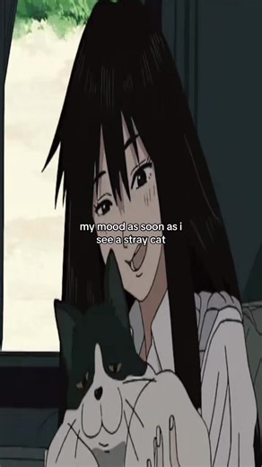 Relatable Moments with Stray Cats