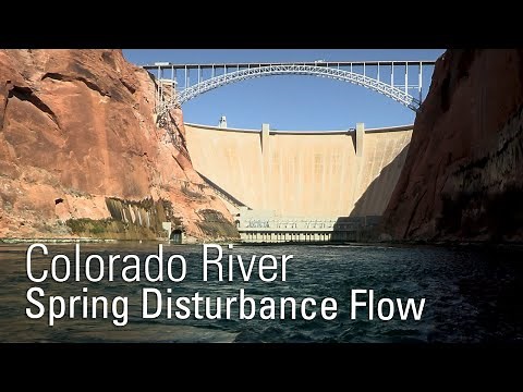 Colorado River: Spring Disturbance Flow