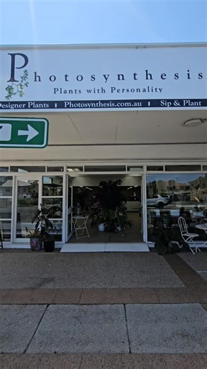 Walks in Calms down | Photosynthesis