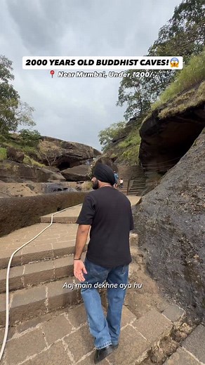 4.3K views · 8.7K reactions | Bandar ki masti miss maht karna...