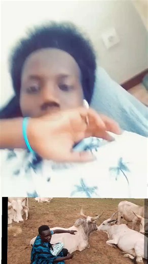 kalidou on TikTok