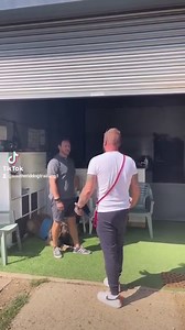 How to help a reactive dog 🥺 | Southend Dog Training