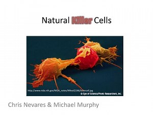 Natural Killer Cells - SlideServe