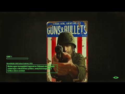 Fallout 4 on PC [CRASH FIX: Advanced Settings / Weapon Debris = Off !!!]