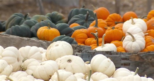 Fall festival season begins; National Weather Service predicts warmer fall for Utah