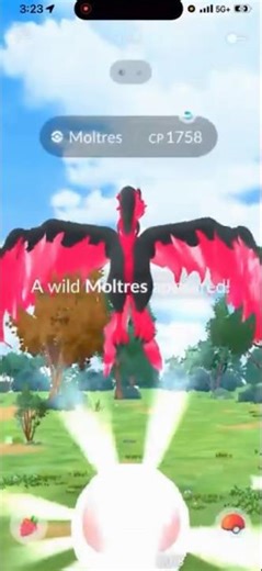 I Tried To Use a POKEBALL On A Galarian Bird And THIS Is How It Went… #shorts #pokemon