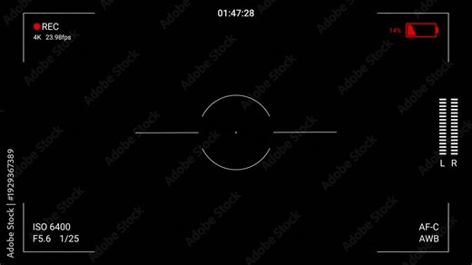 Camera screen with recording timer, battery indicator and audio levels. Found footage mockumentary style with an anxious atmosphere. Realistic handheld movement.