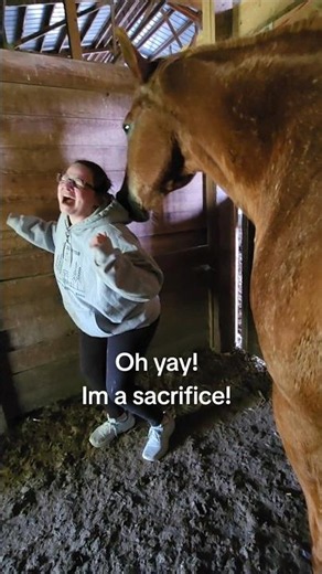 Someone has to be the sacrifice 🤣 #horses #funny #appaloosa #mortandkingjulien