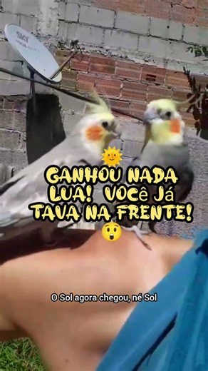 Sol e Lua! Encrenca no braço do titio!