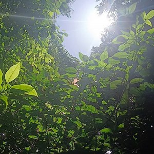 Gloria Hope Heaven on Reels