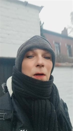 Vidéos de 🇧🇪François🇧🇪🏳️‍🌈 (@francoisfofo) avec Celui qui reste (Forest National 1974) - Claude François