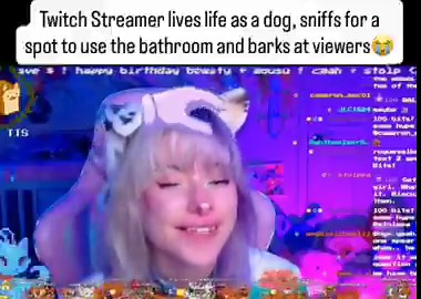 Twitch Streamer Goes Full Dog Mode: Barks at Viewers, Sniffs for Pɛɛ Spots in Extreme Canine Roleplay