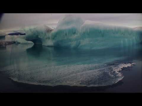 Aukai - La Joya (Official Music Video)