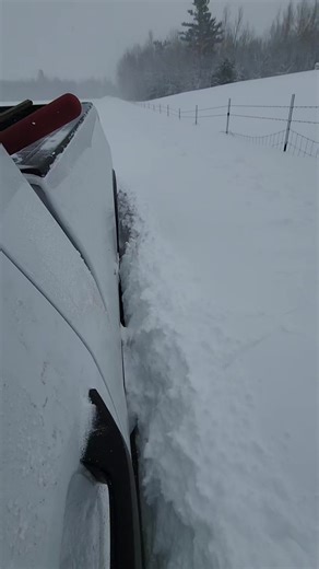 Exploring Deep Snow: A Winter Wonderland Experience