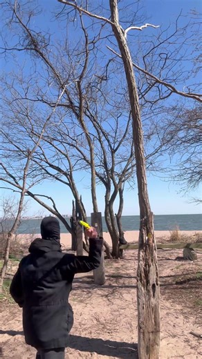 Bullseye Training Course🎯 #combat #knifethrowing #course