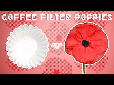 Coffee Filter Poppies | Poppy Coffee Filter Craft