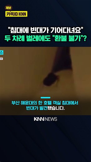 호텔 객실 두 차례나 '빈대' 발견 "방역해서 환불 못 해줘" 황당 / KNN