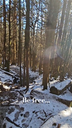 Beautiful Scenery In The Smokies